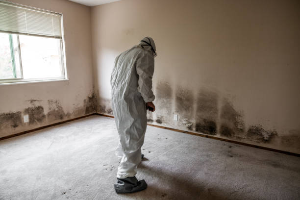 Mold Removal for HVAC Installations in Grant, NE